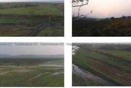 Pristine Land on sale for resort in Meghauli Chitwan